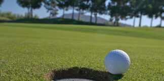 Can anyone stop Scottie Scheffler at the PGA Championship? unnamed 15