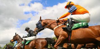 Analysing the favourites for the Grand National unnamed