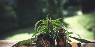 6 Pocket-Friendly CBD Products You Can Shop Online unnamed 8