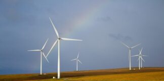 Why Traders Should Consider Investing in Renewable Energy windmills gcca8df77a 640