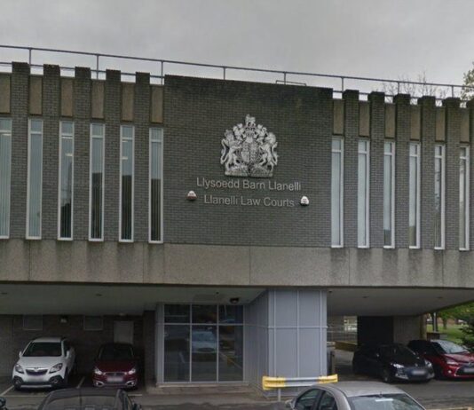 Bridiwr cŵn didrwydded o Lanelli yn pocedu miloedd o bunnoedd yn anghyfreithlon 101172981 llanellimags