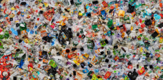 Greenpeace volunteers invite Swansea residents to take part in The Big Plastic Count 1652294893953blob