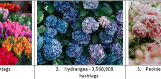 Tulips are the most popular garden plant species of 2022, according to new study 984593b5f930dd3f488159eefbd5380