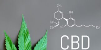 National CBD Day: Everything you need to know about CBD CBD vs. THC