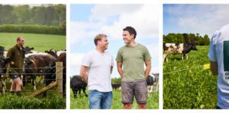 Honest Burgers launches regenerative beef today HONEST FARMING min scaled