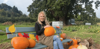 Lockdown horticulture project blossoms into successful PYO venture Lucy Owens Cae Derw