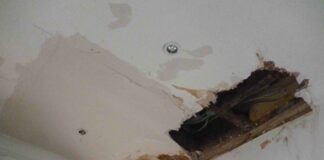 It will cost almost £23 billion to upgrade the UK’s leaky rental homes, new analysis reveals P1060336 scaled