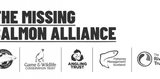 Missing Salmon Alliance Take Action Against River Pollution The Missing Salmon Alliance Grey