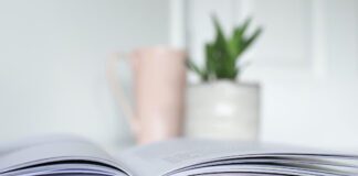 What To Do If You Need To Make a Claim on Your Travel Insurance Policy book