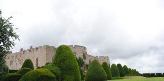 Interest in this garden trend is up 50% 🌳 jr harris MROejEmXGGE unsplash