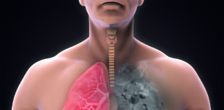 Why does the human body turn against itself in response to its environment? Environmental specialist weighs in tdcbde117c5ec429