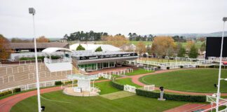 Paul Townend’s five winners at the 2022 Cheltenham Festival unnamed 2