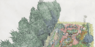 Welsh Rugby Club Wins RHS Community Garden in National Competition unnamed