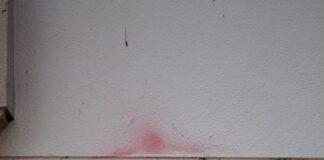 What do you mean you don’t want children?! Study reveals the truth about women at work, home and in the bedroom 1. Girl power