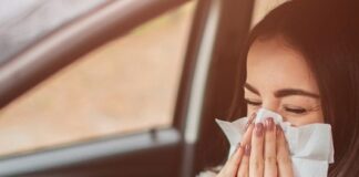 ‘Very high’ hay fever warning for Welsh motorists 15897423495ec18b0decf08 hayfeveredit