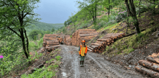 Lansio Rhaglen Hyfforddiant Sgiliau Coedwigaeth Gynaliadwy yng Nghymru Assistant Forest Manager Lorna Johnson Forestry site Wales