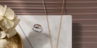 Clogau Gold announced as sponsor for the VIP Enclosure and White Park Restaurant at the new GWCT Welsh Game Fair Clogau Jewellery 1