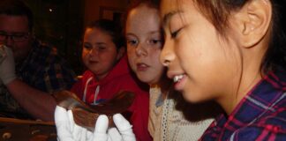 University’s Egypt Centre in running for top museum award Education 3 edit