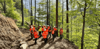 Sustainable Forestry Skills Training Programme Launches in Wales Forestry site Wales