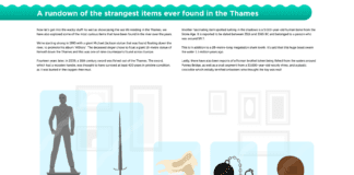 River Thames: Human bones, Roman brothel token and a 30,000-year-old animal skull found Items in the Thames