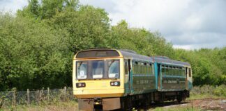 Pacer running day at Cynheidre Pacer