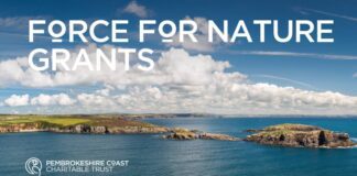 Become a Force for Nature with the Pembrokeshire Coast National Park Trust SMALLFFN Grants 1200x628 1