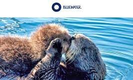 New study reveals microplastics can carry pathogen threatening human and wildlife health download 2