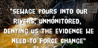Did you know unchecked sewage pollution is destroying our rivers? image 84
