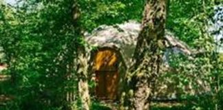 Penhein Glamping introduces ‘Go Wild’ Family Breaks – take the six steps to wildness this summer image002 1