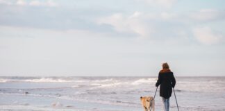 Keep dogs on a lead around rivers and ponds’- Vets in Wales issue seasonal warning about deadly blue-green algae risks joppe spaa PbpMTzxS 48 unsplash scaled