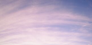 1 in 3 property professionals suffering from burnout kiko camaclang ZWDR1COG Ws unsplash scaled