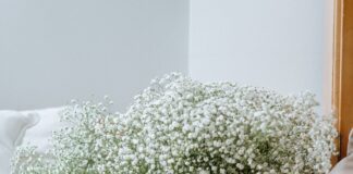 Five tricks to keep your flowers fresh in the heat! pexels cottonbro 4499866 scaled