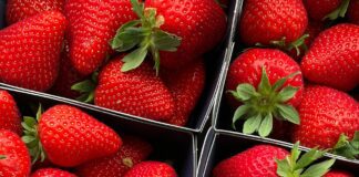 50% more strawberries in UK stores- Gousto chef shares four ways to use them up raghavendra mithare cdS0S11bGoo unsplash