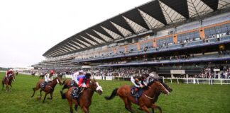 What Have We Learned From This Year’s Royal Ascot? royal ascot