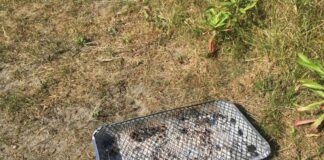 Awdurdod y Parc yn annog pobl i fod yn eithriadol o ofalus yn dilyn tanau gwyllt SmallBBQ1