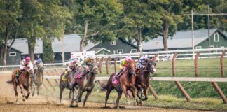 The Future Of Horse Racing Events in the UKI joshua adams o86VhXH4P o unsplash