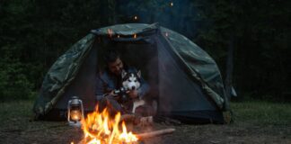 13 Tips For A Perfect Camping Trip With Yur Dog pexels igor cibulsky 8713324