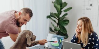 Office dogs: Expert reveals tips on how to prep the office in a heatwave pexels karolina grabowska 5904046
