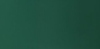 Top Digital Skills You Should Look From Your Employees pexels mikael blomkvist 6483583