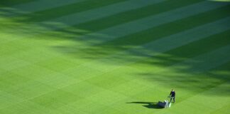 What your lawn is trying to tell you remi muller LlHgaeBwYVE unsplash