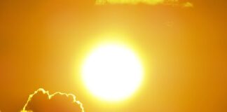 Heatwave’ – Do Employees Have to Work in High Temperatures and What Are Employers’ Responsibilities? sun heat warm listing