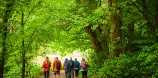 Ramblers Cymru – Protecting our access rights – our paths, our future! walkers on a path