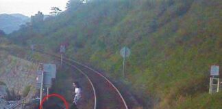 North Wales train driver recalls “helpless” feeling during near miss with man and his dogs at popular tourist destination 559189a6dc2a465181da6195a7c46ca3 min