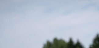 Outdoor fun for Welsh youngster and their four-legged friend Savannah Weideman and Falkor Credit Yulia Titovets The Kennel Club min 1