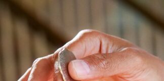 Six of the strangest landlord stories pexels kindel media 7578984 min