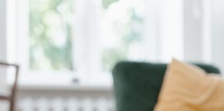 Keep your dog cool to be kind – Dogs Trust is urging owners to keep their dogs safe as temperatures soar pexels mart production 8434618 min scaled