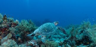 REVEALED: The Most Popular Bucket List Destinations by Generation pexels saad alaiyadhi 13010771