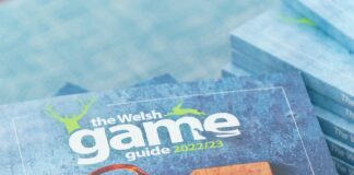 Welsh Game Guide to be distributed at The GWCT Welsh Game Fair this weekend PO 190722 RWS 031 min