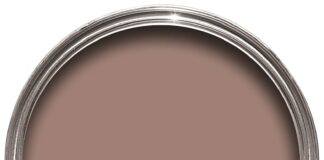Dead Salmon or Sulking Pink? 2022’s trendiest autumnal paint colours revealed FB Sulking Room Pink No.295 min