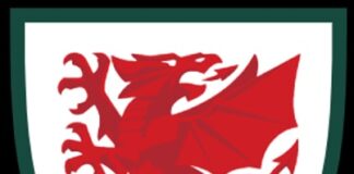 5 of the Best Welsh Footballers in Europe Right Now Wales national football team logo min